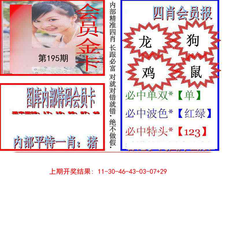 九龍四肖会员报
