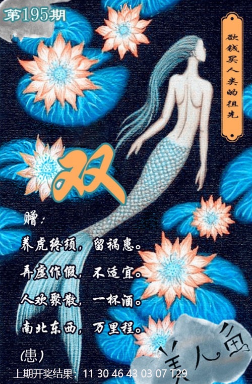 美人鱼单双中特图
