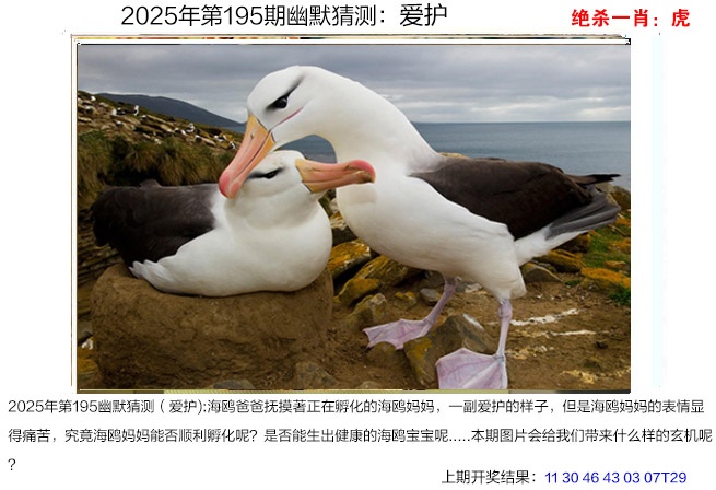 幽默猜测